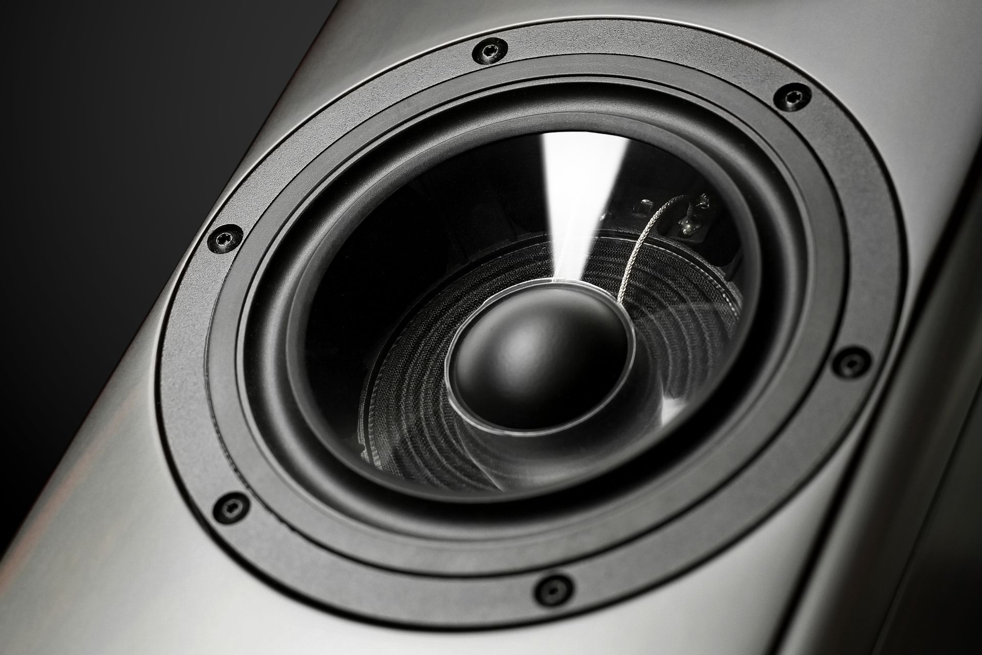 The art of choosing the right loudspeakers